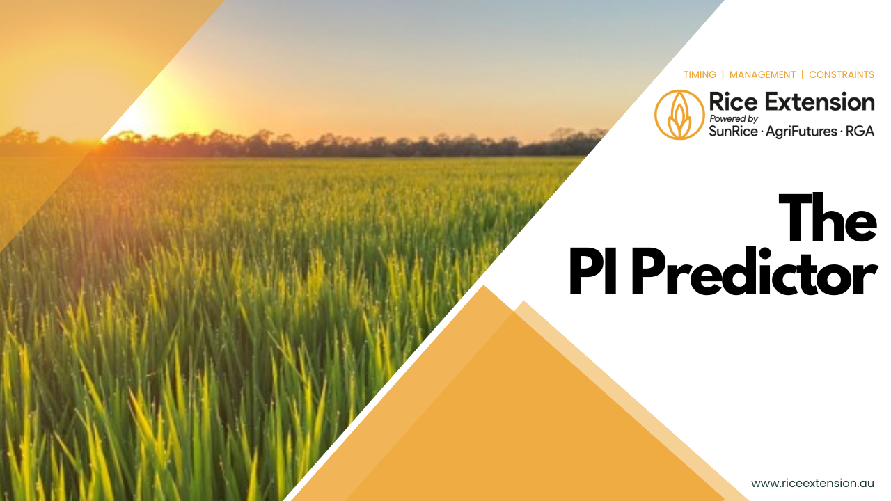 The PI Predictor - RiceFact Audio