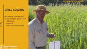 Weed Management in Drill Seeded Rice with Malcolm Taylor